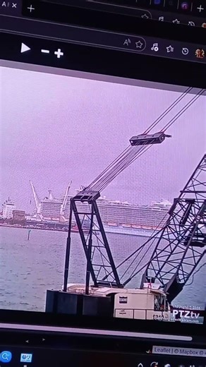 oasis of the seas muster drill horn in Port everglades part 3