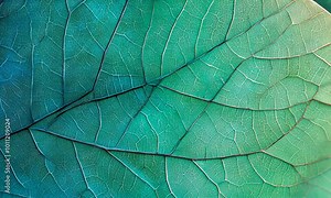 Leaf Veins Texture Stock Video
