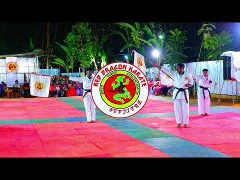 Karate Flag Form by Dominic | Student Performance