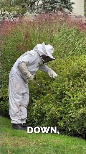 You never know what might be hiding in your bushes… 👀