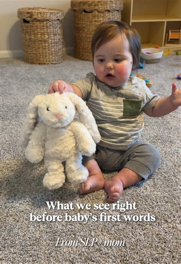 Understanding Baby Development Milestones