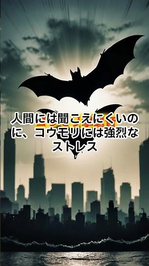 コウモリ撃退音 3分で退散！30〜40kHz超音波で屋根裏対策
