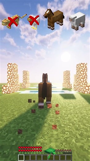 Better Mobs vs Spike Pits Trap! #minecraft