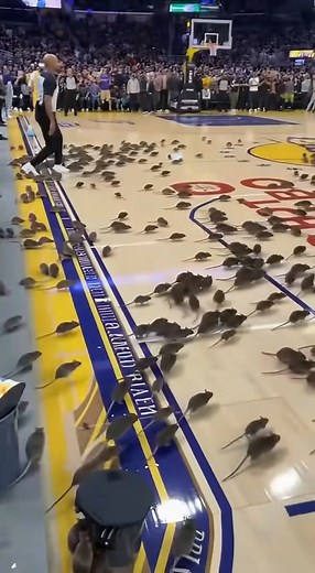 6.5M views · 5.1K reactions | Bought VIP tickets and this happened | Chris And Jasmin | Facebook