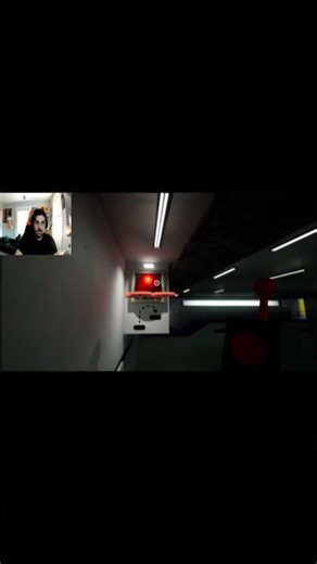 OBILINO BIRD STAHP!!!