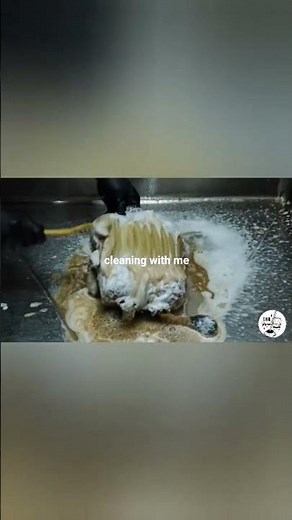 Cleaning SpongeBob SquarePants