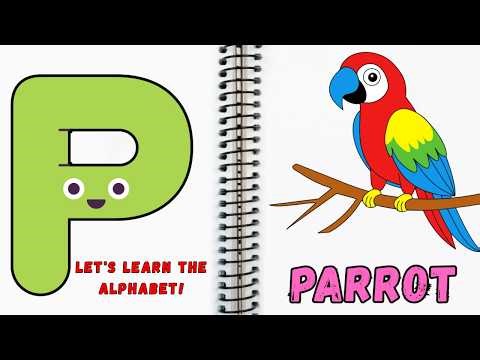 Learn ABCs with the Panda Path: A to Z Phonics Adventure!