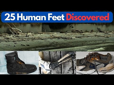 The 25 Human Feet Found Around the Salish Sea in B.C., Canada and Washington, USA from 2007-2023