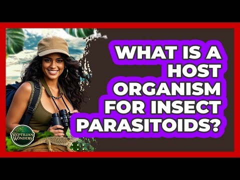 What Is A Host Organism For Insect Parasitoids? - Reptilian Wonders