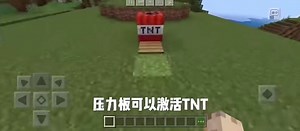 Exploring Gameplay in a Block-Based Virtual World