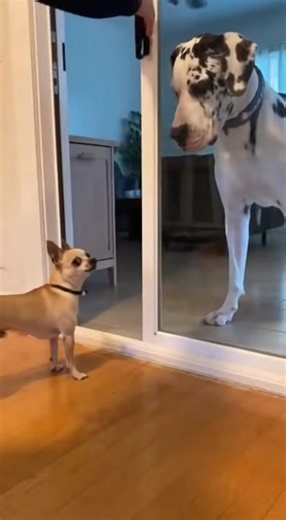 Jeremy Opperman on Reels