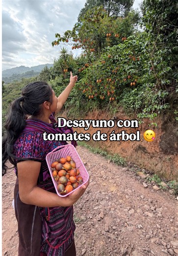 Desayuno campestre con tomates de árbol y huevos