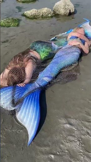 Two Real Mermaids washed up on the beach?! 😨 is one still moving?? #realmermaid