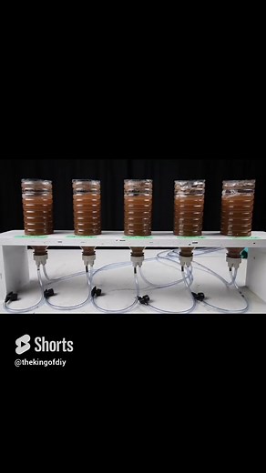 17K views · 301 reactions | HOW TO BUILD A BRINE SHRIMP HATCHERY | UaruJoey | Facebook