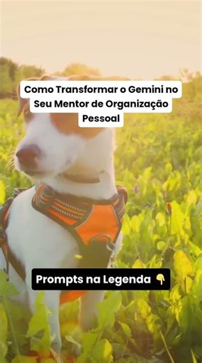 Mentor de Organização IA @GuilhermeeBenuto @hypex.cortes #HypexCortes #SkinDeBaladeiraHX