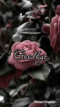 Seungmin- Goodbye Lyrics SKZ-REPLAY