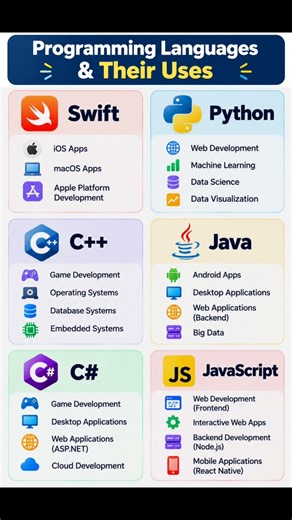Programming Language & Usage