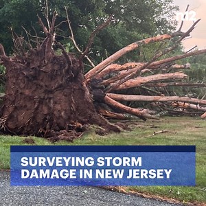 61K views · 165 reactions | STORM AFTERMATH: Severe storms last night knocked down trees and power lines in many parts of New Jersey, including in Flemington. (Photo courtesy of Veronica Crawford) - MORE: https://bit.ly/468G3h4 | News 12 New Jersey | Facebook