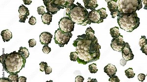 Cauliflower Falling And Moving . Closeup View Of Lots Of Cauliflower Moving And Flying On White Background, Slow Motion Of Cauliflower Animation Healthy Eating Vegetable Concept