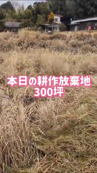 毎週 火・木・日曜日に活動中📍大阪・能勢町🕙10:00 集合🌱10:00〜12:30 午前作業🍚12:30〜13:30 昼ごはん🌾13:30〜15:00 収穫・午後作業🚗15:30 解散田畑／養鶏／果樹／狩猟／キノコ／養蜂／発酵／調理スケジュールは前日共有。季節と自然に合わせて毎回内容が変わります。