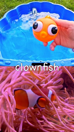 Learn Sea Animal Names for Kids with Toys: Great White Shark Clownfish Jellyfish Turtle Crab