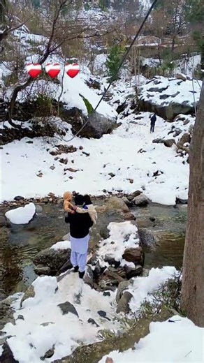 #lifeisbutadream #love #funny #song #funny #shorts #ihavethisthingwithplants#viral #viralvideo