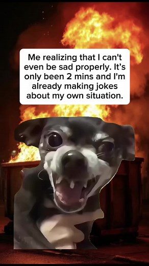 Understanding Emotional Depth with Humor