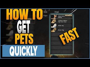 How To Get Pets FAST In Crimson Desert