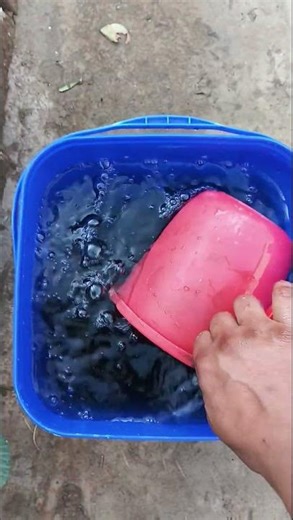 How to use Humic acid Benefits #humicacid #gardening #shortvideo #viral