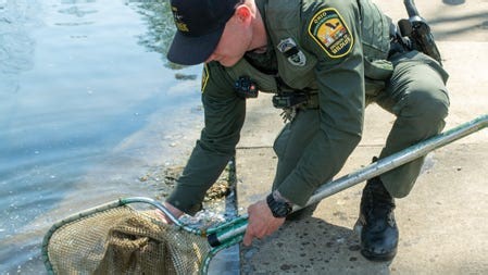 ODNR announces rainbow trout releases to begin March 11