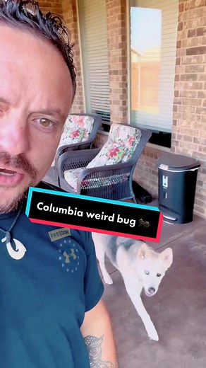 Columbia Weird Bug - What is it?