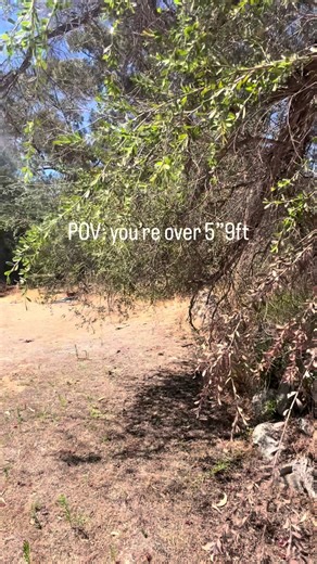 The Struggles of Being 5'9: A Tall Guy's Perspective