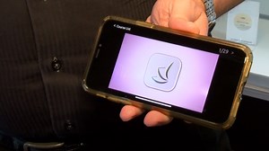 Local cannabis expert launches 'Can Ed' app, a tool for those looking to work in marijuana