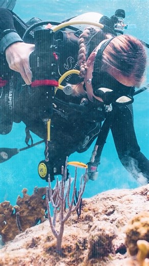 23K views · 185 reactions | From start to final pass, this drill keeps power consistent and handling precise - even below the surface. The Nemo Divers Drill keeps executions tight in demanding conditions.  #nemopowertools #underwaterdrilling #marineindustry #powertools | Nemo Power Tools | Facebook