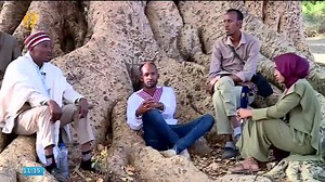 Seenaa Odaa Roobaa Sirna Gadaa Oromoo keessatti Odaan Galma heeraa fi seeraa waan taéef, odaa jalatti dhugaatu dubbatama, seeratu murama, seeratu tumama, seeratu lalabama, Roobaaf nagaatu kadhatama, dhibeetu falama,daangaa bulchiinsaafi siiyaasaatu murtaa’a ykn caasaa sirna gadaatu diriirffama, heeraaf seeratu achii warraabama,haala jiruuf jireenya hawaaasaatu jalatti mari'atama. Odaa Jalattii seerri ni tuumama,ni muurama, ni lallabama malee hin raawwatamu. Seerri kan raawwatamu yaroo baayy'ee d