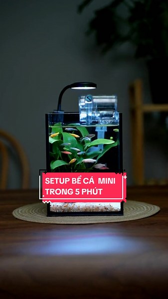 AquaSetup trên TikTok