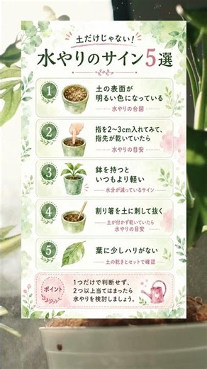 水やりのサイン5選｜土の表面だけで決めない観葉植物の育て方