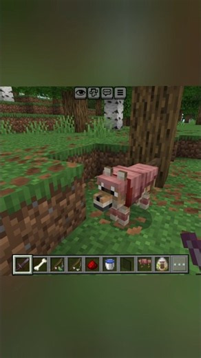 Wolf Armor #minecraft