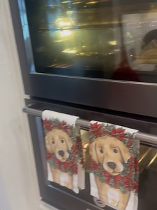 Martha Munizzi on Reels