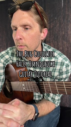 The Bug Collector Guitar Tutorial by Haley Heynderickx