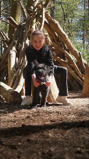 The Journey Isn't Just About The Puppies. It's The Kids Too. #protectiondogsworldwide #dogtraining