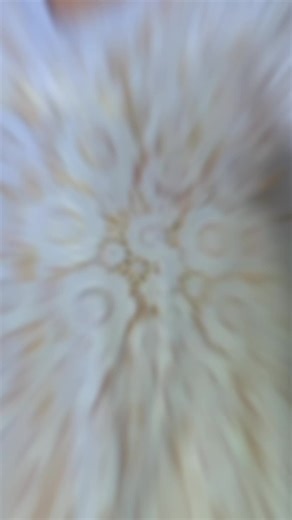 DA BEAUTY TOUCH on TikTok