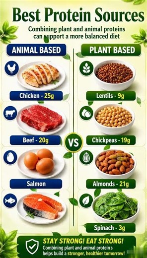Animal vs Plant Proteins: Which is Best?