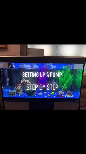 Setting Up Your Aquarium Pump: A Step-by-Step Guide