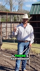 Confidence & understanding yields are the cornerstones of a solid foundation #cowboys #horselife | Ryan Rose