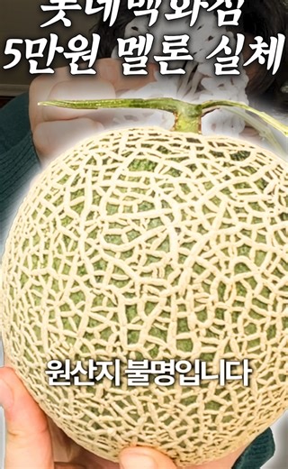 백화점과 시장 멜론 가격 비교와 맛 평가