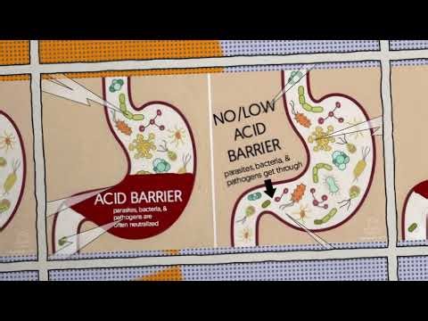 1.4 - Your Body’s First Lines of Defense -Immunology