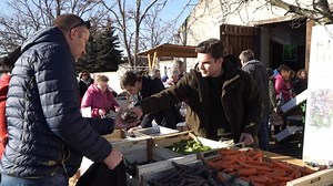 Agriculture bio : l'Autriche, championne européenne