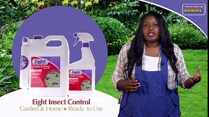 Bonide 4281 Insecticide Insect Control, 1.33 gallon