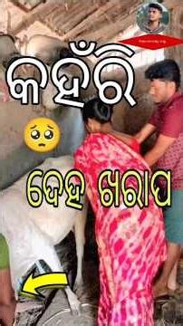 କହଁରି ଦେହ ଖରାପ!🥺#shorts #daliyvlog #villagelife #cowlover